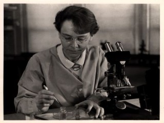 Barbara McClintock  picture, image, poster